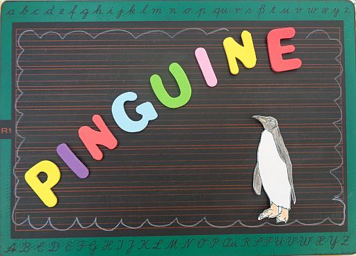 Pinguingruppe Icon