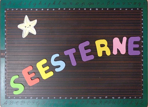 Seesterne Icon